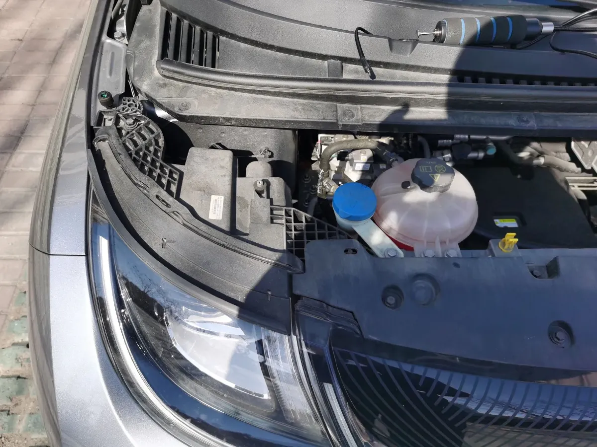 2023 BYD Dolphin BEV 44.928KWH,autocango,china used car exporter,china ev exporter,chinese used car exporter,chinese used ev exporter