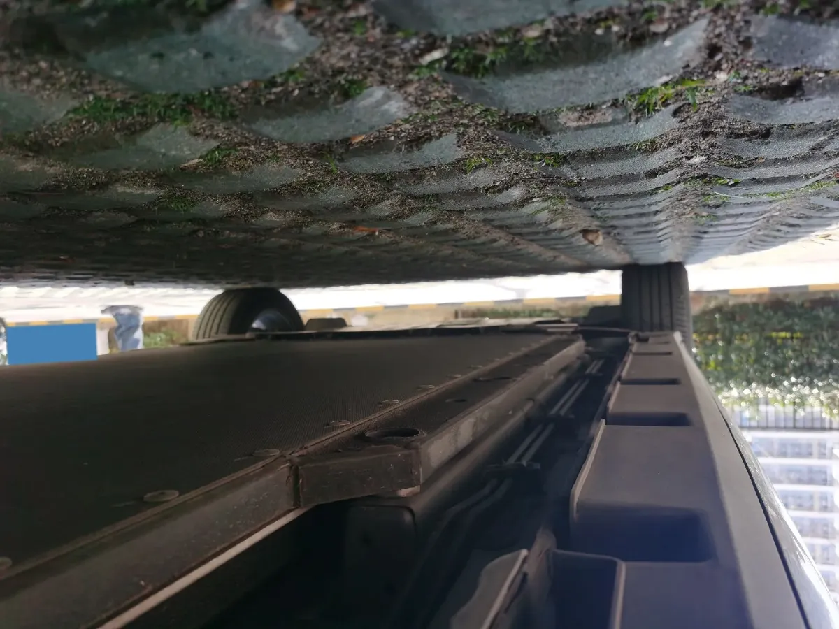 2023 BYD Dolphin BEV 44.928KWH,autocango,china used car exporter,china ev exporter,chinese used car exporter,chinese used ev exporter