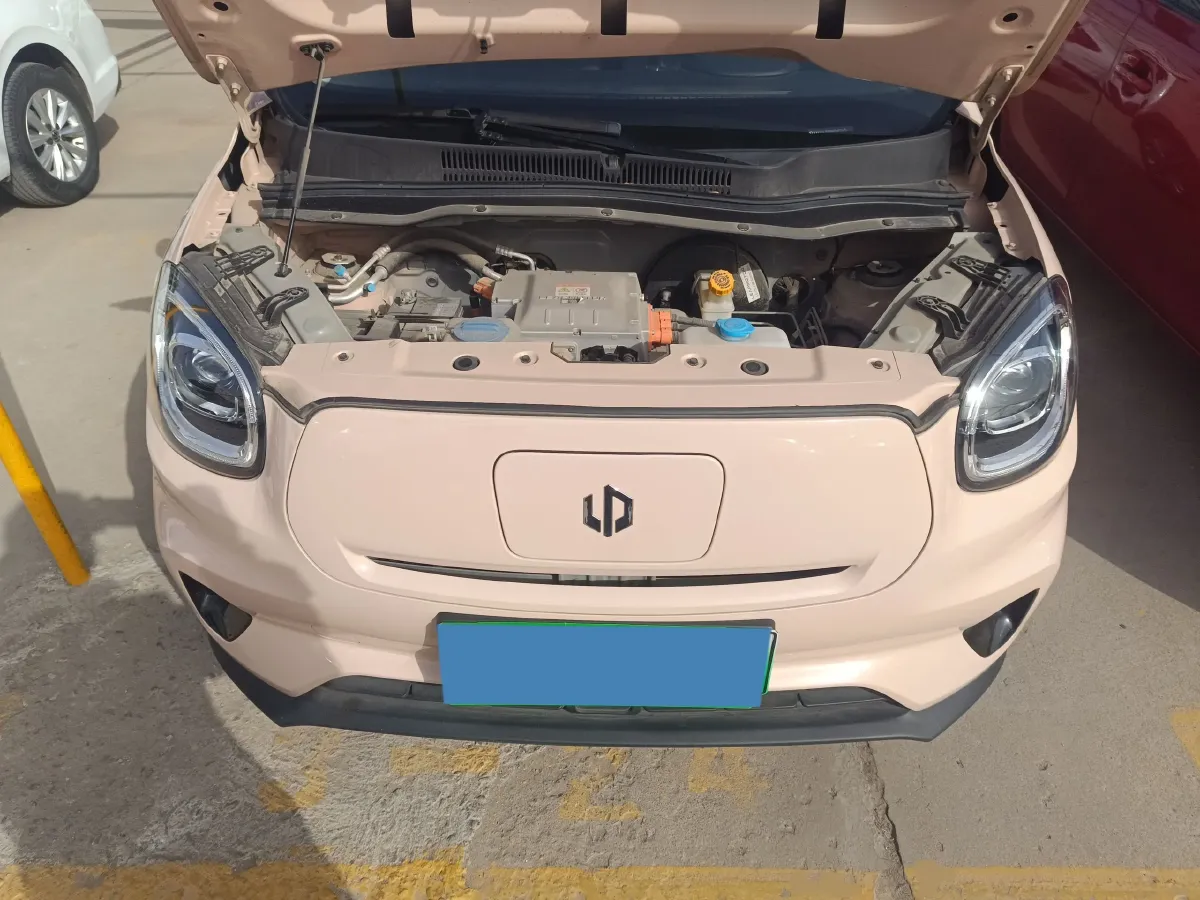 2021 Leapmotor T03 BEV 41KWH,autocango,china used car exporter,china ev exporter,chinese used car exporter,chinese used ev exporter