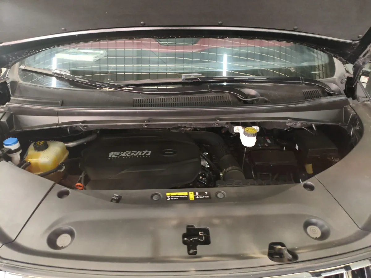 2023 GAC Trumpchi M8 2.0T 252HP L4 8AT,autocango,china used car exporter,china ev exporter,chinese used car exporter,chinese used ev exporter