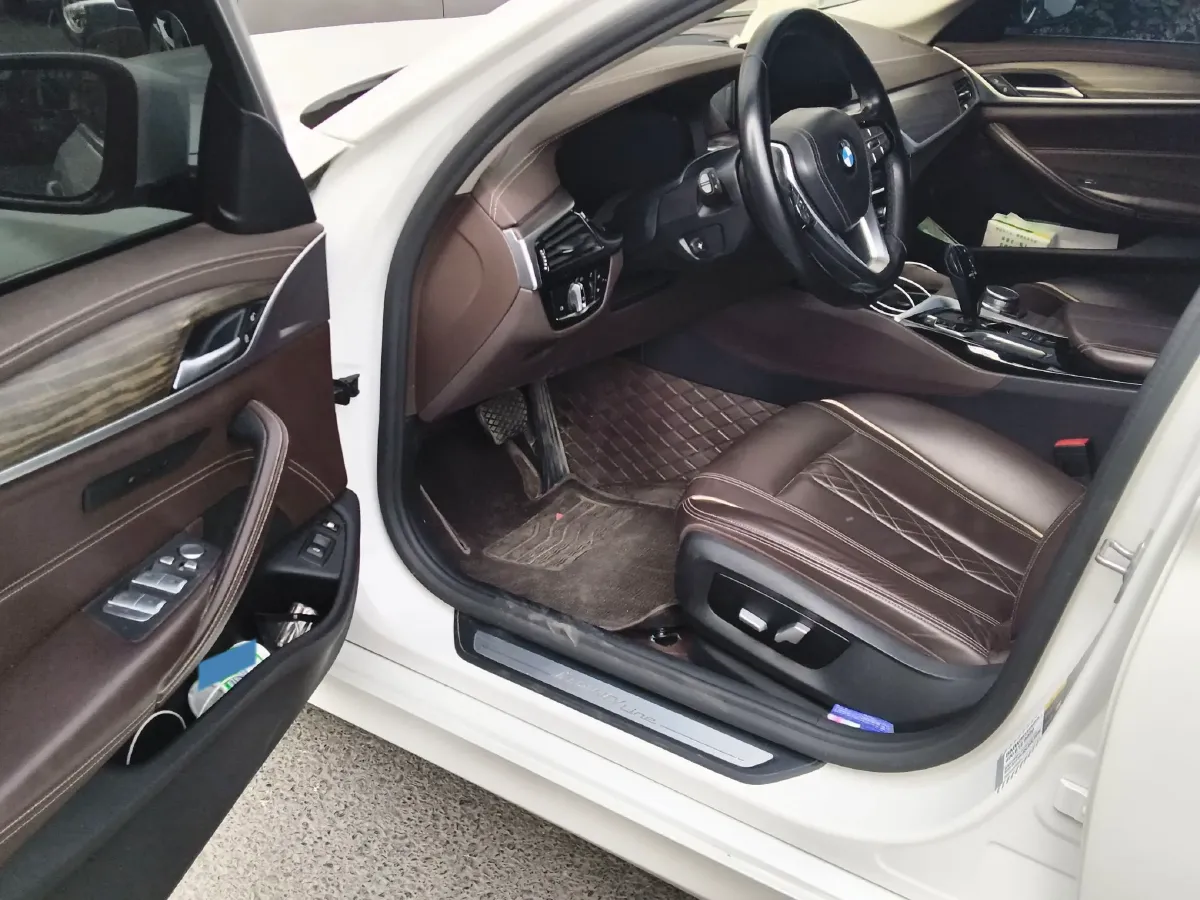 2020 BMW 5 Series 2.0T 184HP L4 8AT PHEV 17.7KWH,autocango,china used car exporter,china ev exporter,chinese used car exporter,chinese used ev exporter