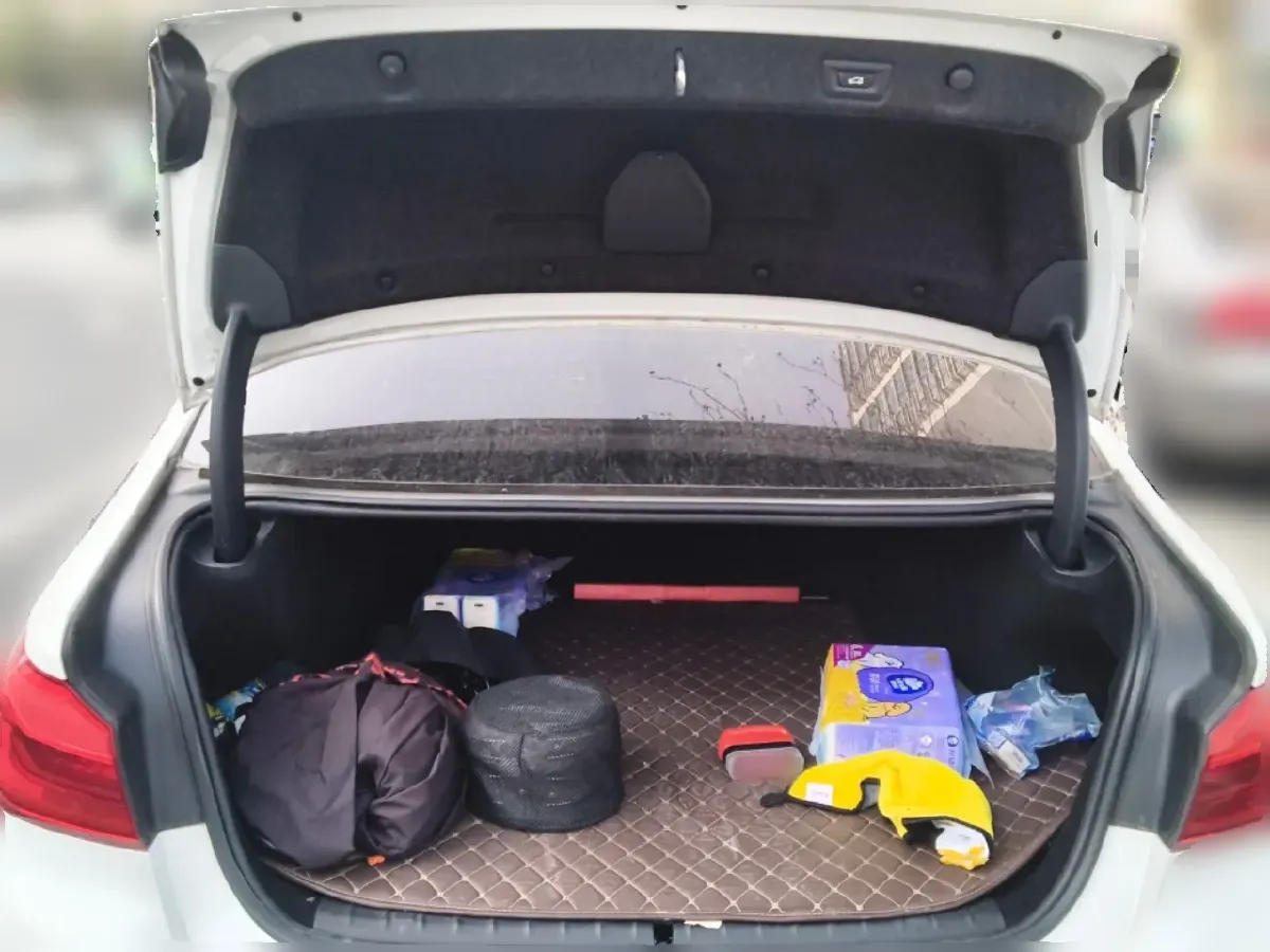 2020 BMW 5 Series 2.0T 184HP L4 8AT PHEV 17.7KWH,autocango,china used car exporter,china ev exporter,chinese used car exporter,chinese used ev exporter