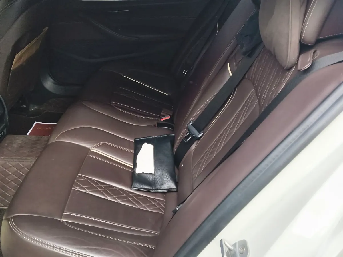 2020 BMW 5 Series 2.0T 184HP L4 8AT PHEV 17.7KWH,autocango,china used car exporter,china ev exporter,chinese used car exporter,chinese used ev exporter