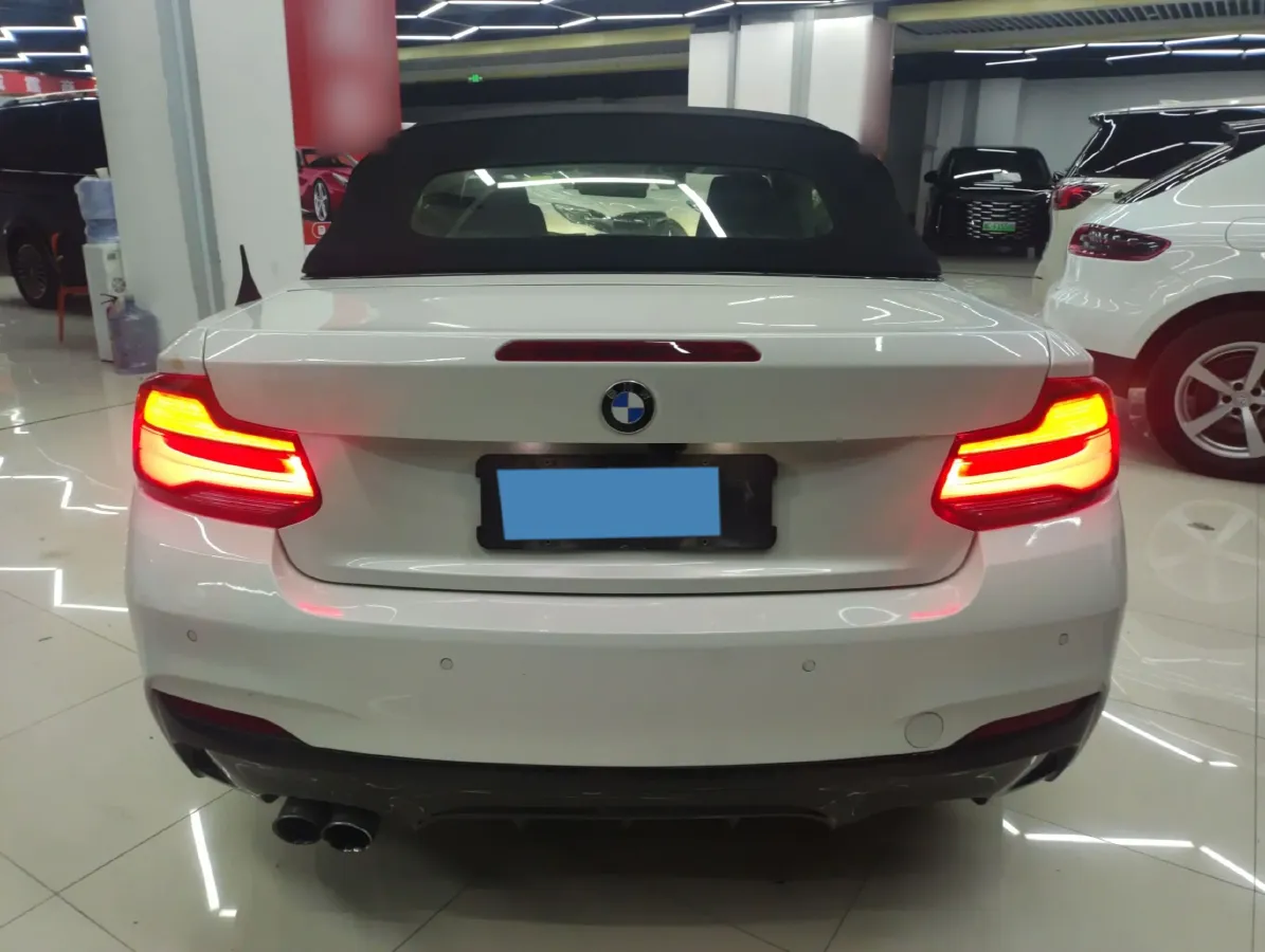 2018 BMW 2 Series 2.0T 184HP L4 8AT,autocango,china used car exporter,china ev exporter,chinese used car exporter,chinese used ev exporter