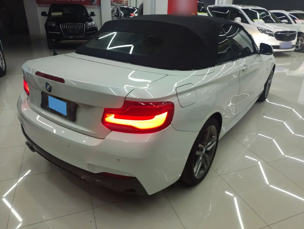 2018 BMW 2 Series 2.0T 184HP L4 8AT,autocango,china used car exporter,china ev exporter,chinese used car exporter,chinese used ev exporter