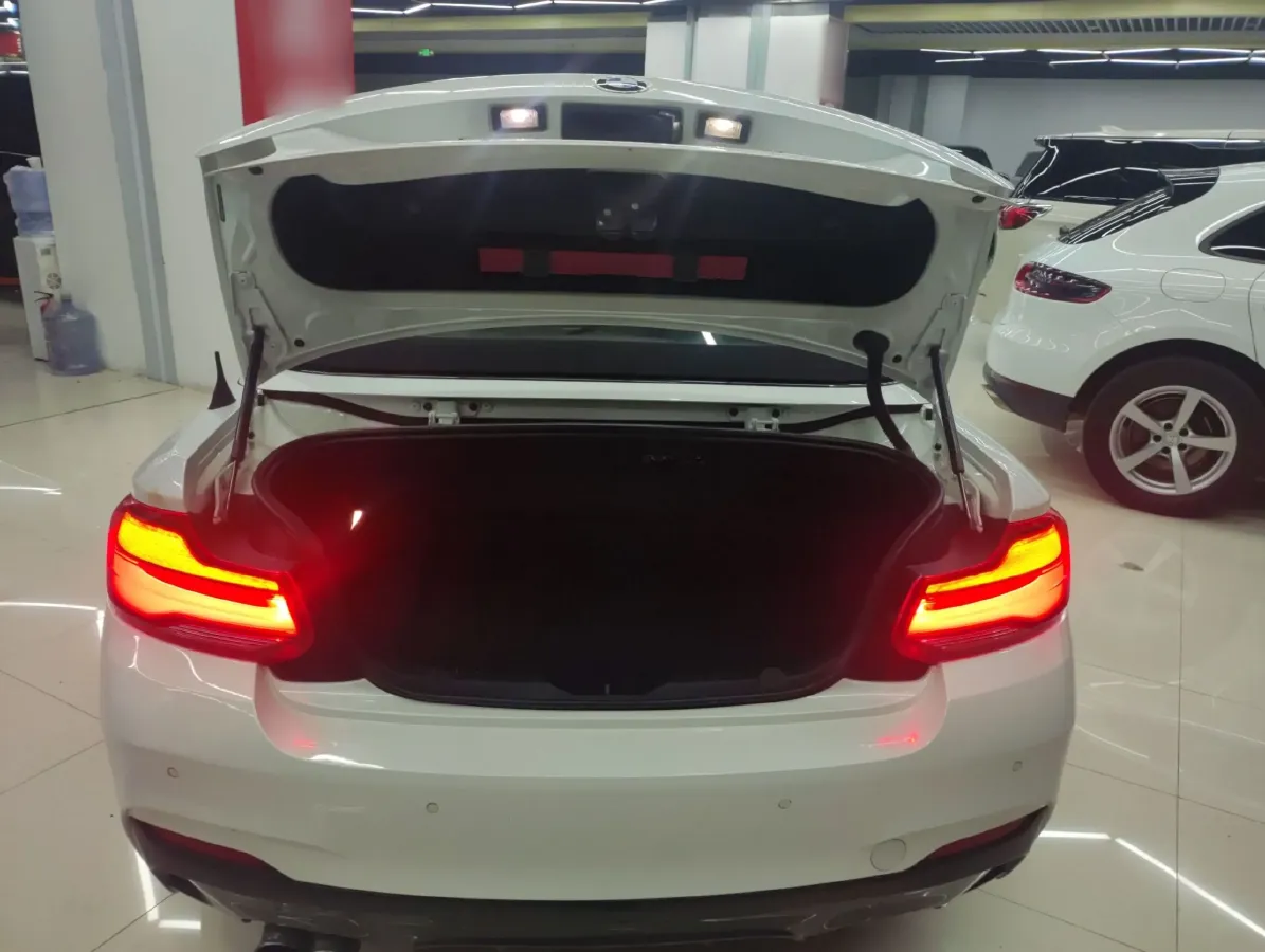 2018 BMW 2 Series 2.0T 184HP L4 8AT,autocango,china used car exporter,china ev exporter,chinese used car exporter,chinese used ev exporter