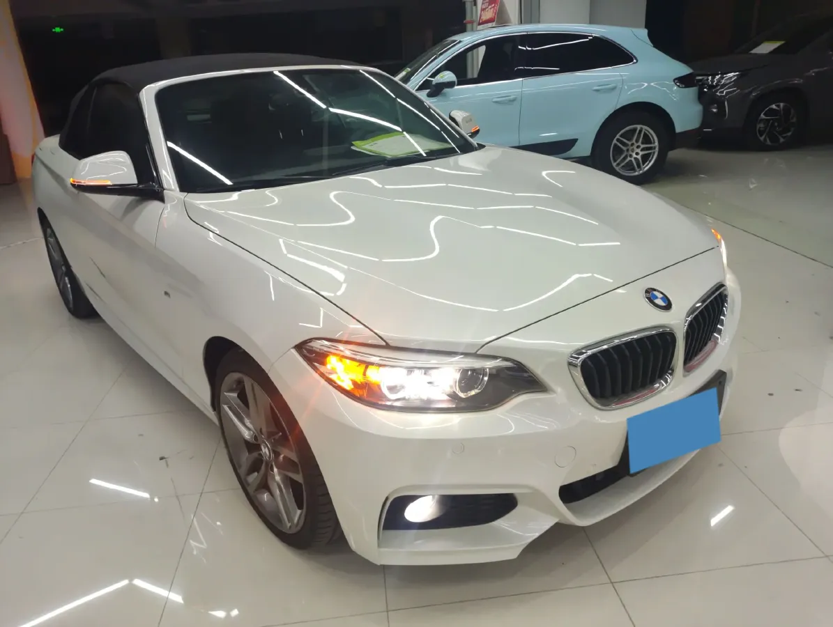 2018 BMW 2 Series 2.0T 184HP L4 8AT,autocango,china used car exporter,china ev exporter,chinese used car exporter,chinese used ev exporter