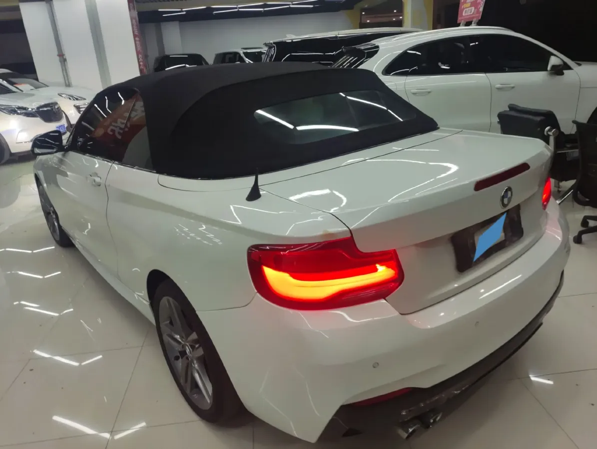 2018 BMW 2 Series 2.0T 184HP L4 8AT,autocango,china used car exporter,china ev exporter,chinese used car exporter,chinese used ev exporter