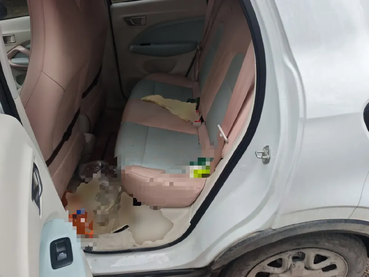 2025 Leapmotor T03 BEV 31.9KWH,autocango,china used car exporter,china ev exporter,chinese used car exporter,chinese used ev exporter