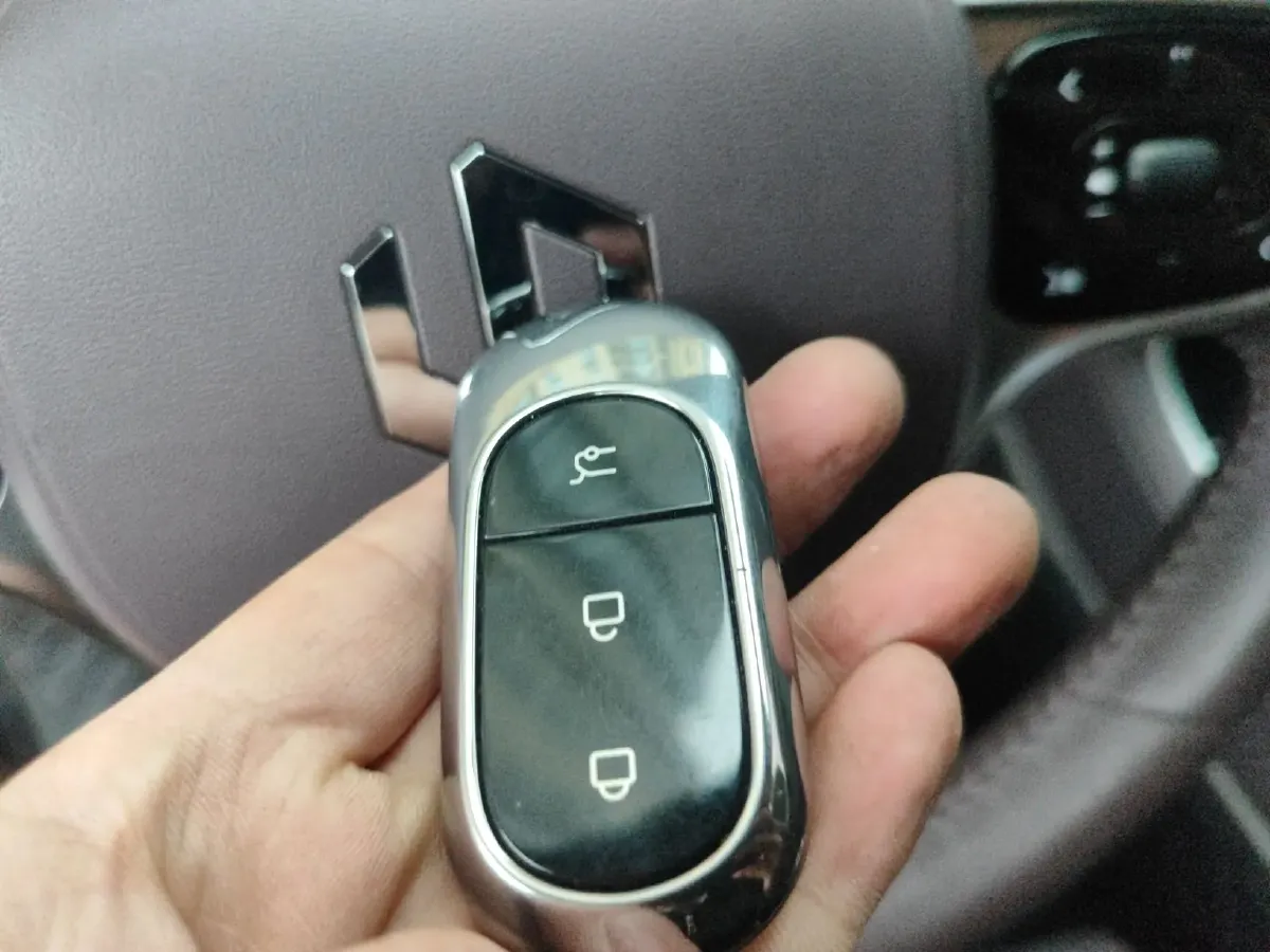 2023 Leapmotor C11 BEV 69.2KWH,autocango,china used car exporter,china ev exporter,chinese used car exporter,chinese used ev exporter