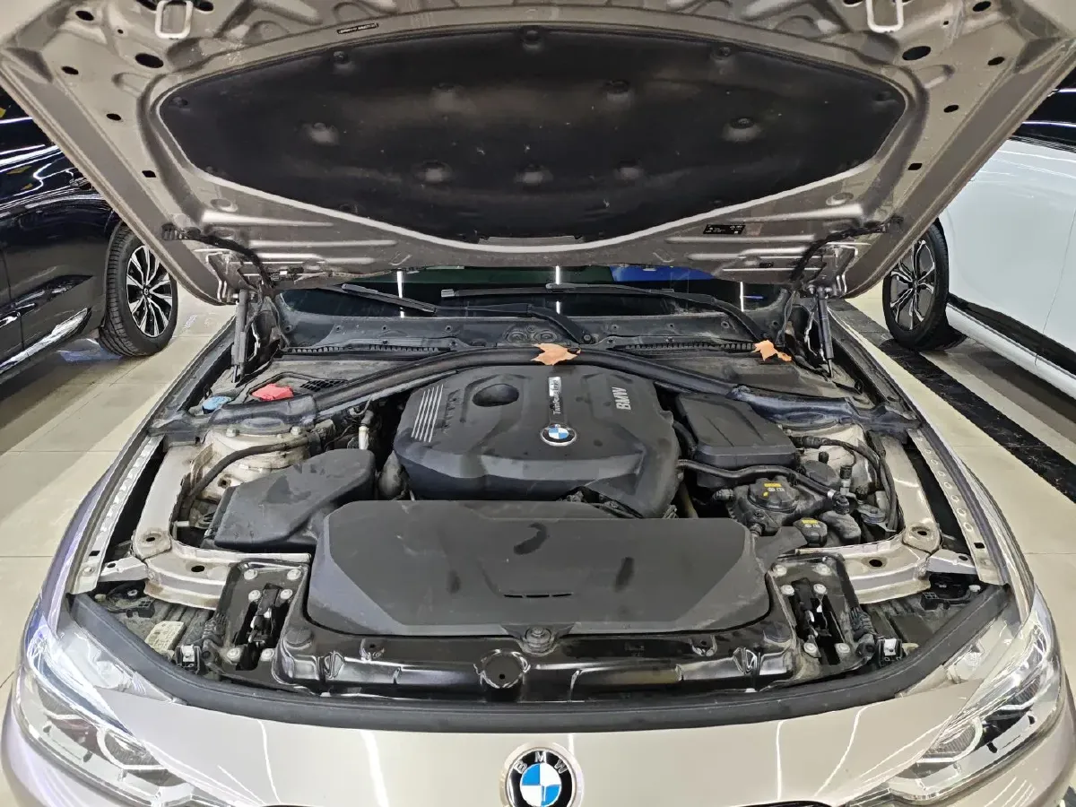 2018 BMW 3 Series 2.0T 184HP L4 8AT,autocango,china used car exporter,china ev exporter,chinese used car exporter,chinese used ev exporter