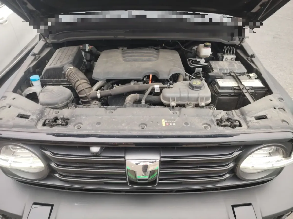 2023 Tank 300 2.0T 227HP L4 8AT,autocango,china used car exporter,china ev exporter,chinese used car exporter,chinese used ev exporter