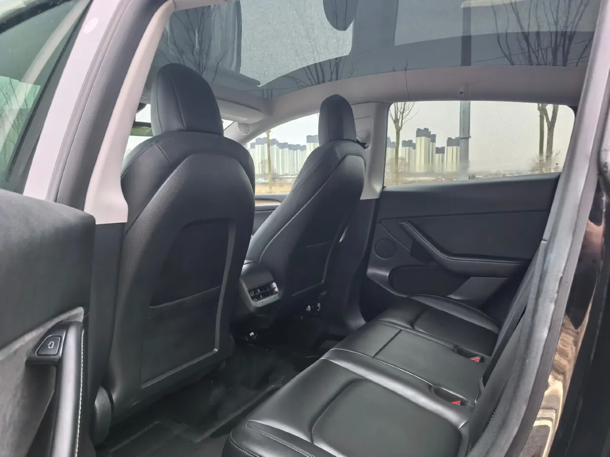 2020 Tesla Model 3 BEV 52KWH,autocango,china used car exporter,china ev exporter,chinese used car exporter,chinese used ev exporter