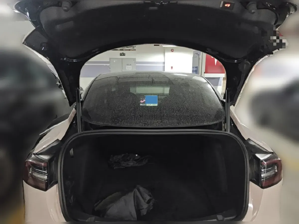 2020 Tesla Model 3 BEV 52KWH,autocango,china used car exporter,china ev exporter,chinese used car exporter,chinese used ev exporter