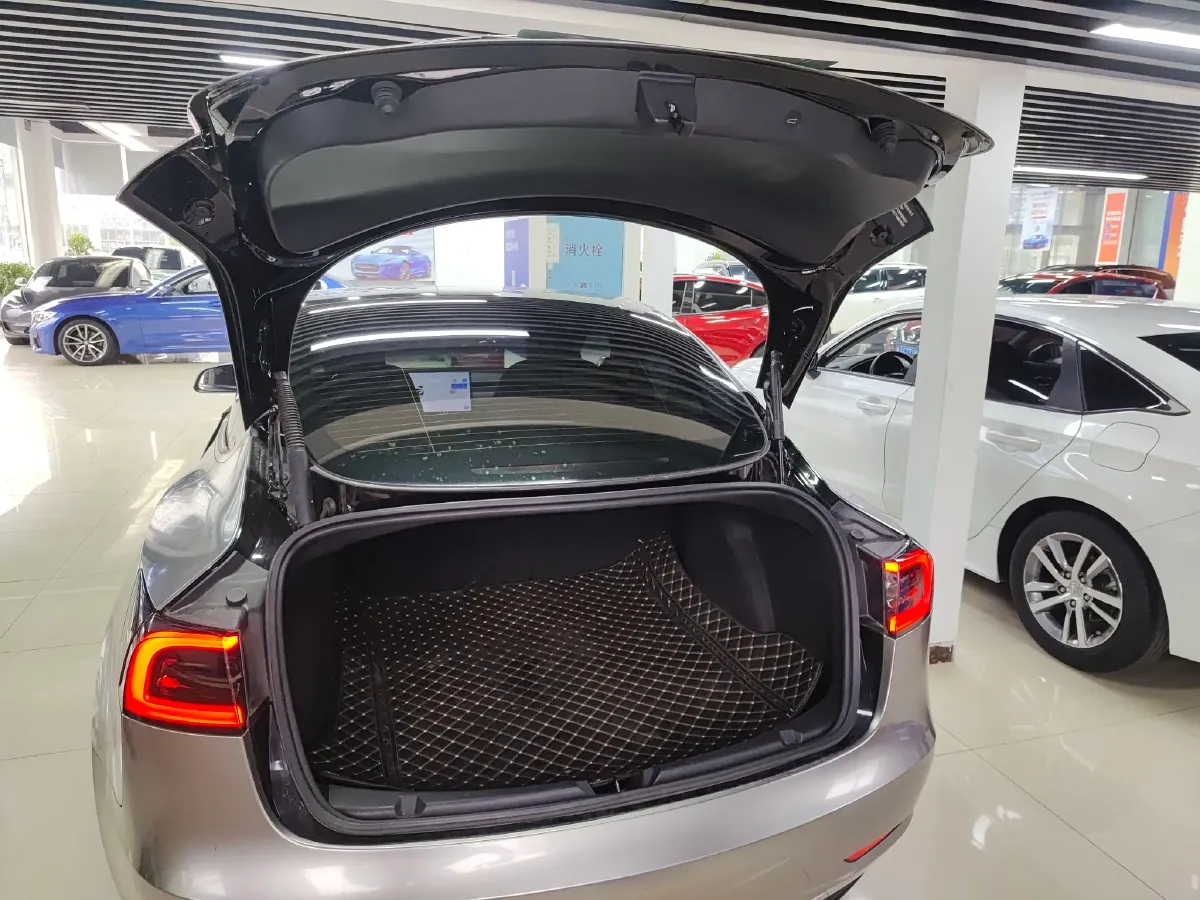 2021 Tesla Model 3 BEV 55KWH,autocango,china used car exporter,china ev exporter,chinese used car exporter,chinese used ev exporter