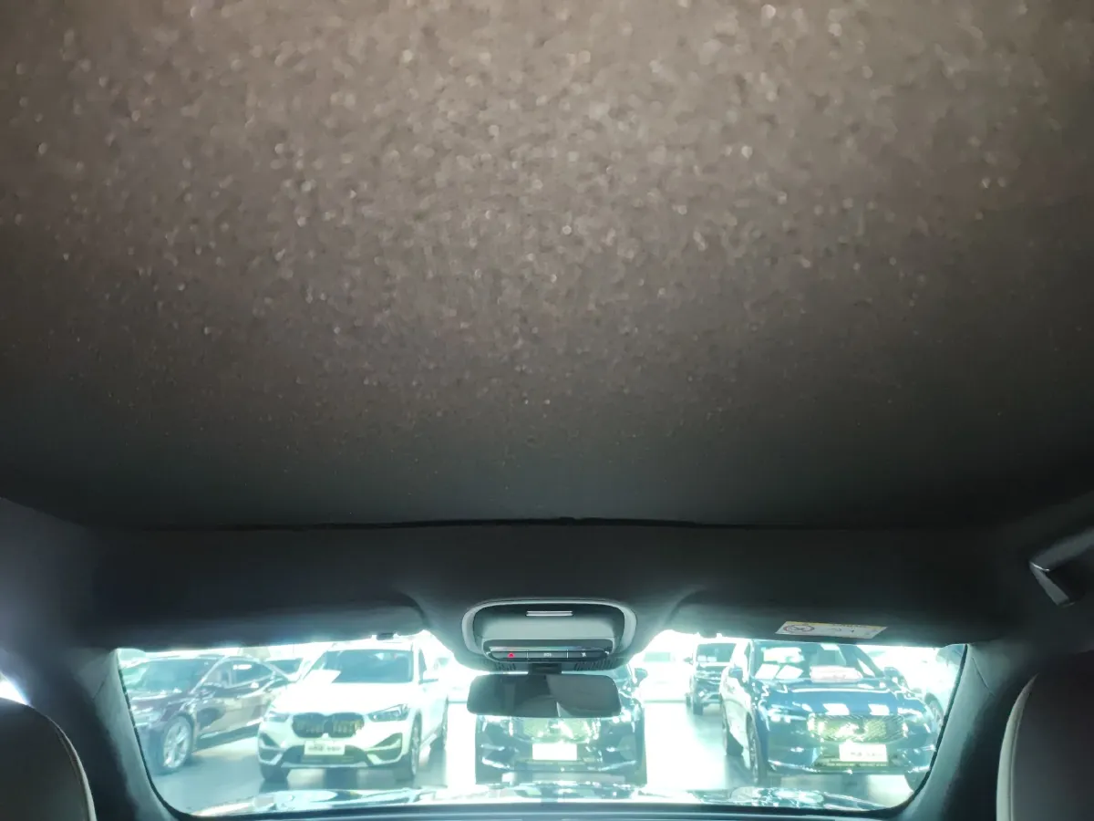 2025 Xpeng G9 BEV 93.1KWH,autocango,china used car exporter,china ev exporter,chinese used car exporter,chinese used ev exporter