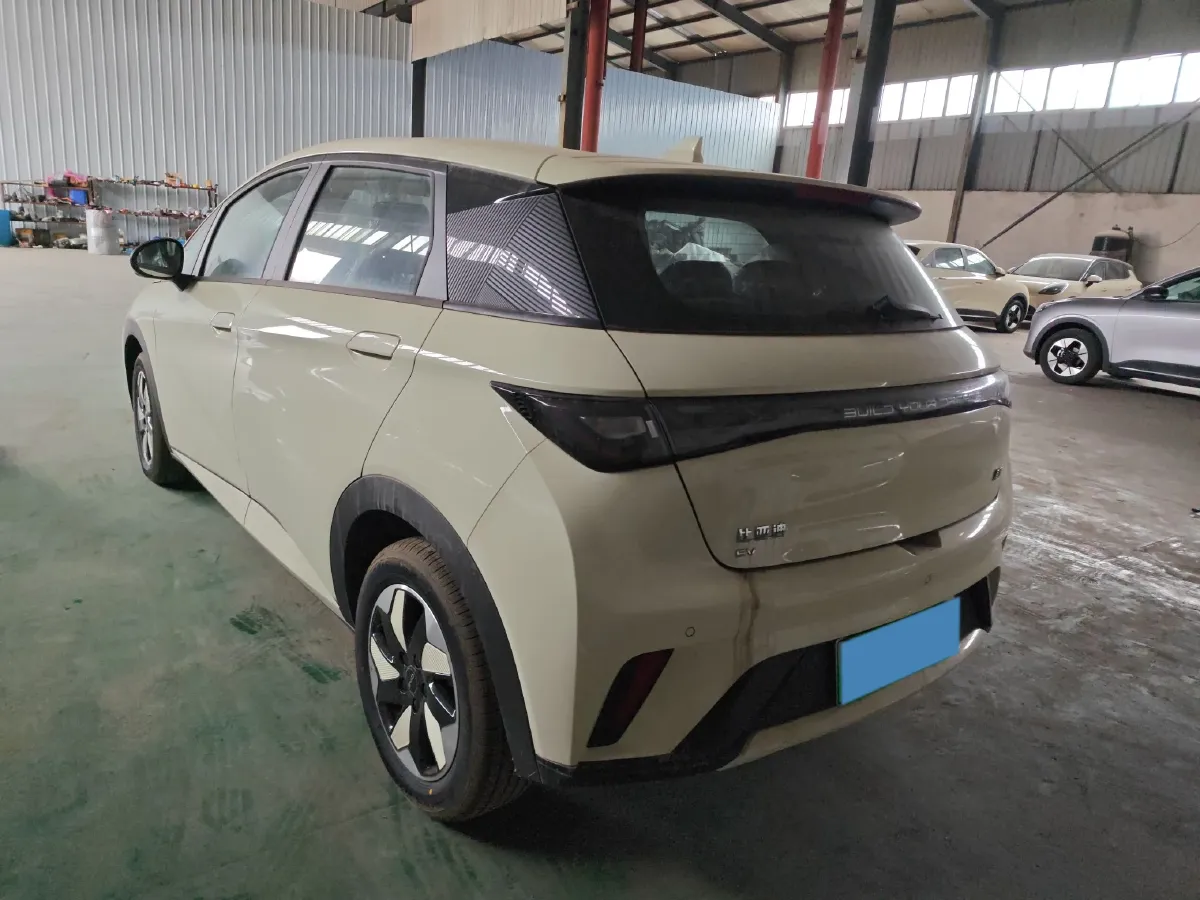 2025 BYD Dolphin BEV 44.928KWH,autocango,china used car exporter,china ev exporter,chinese used car exporter,chinese used ev exporter