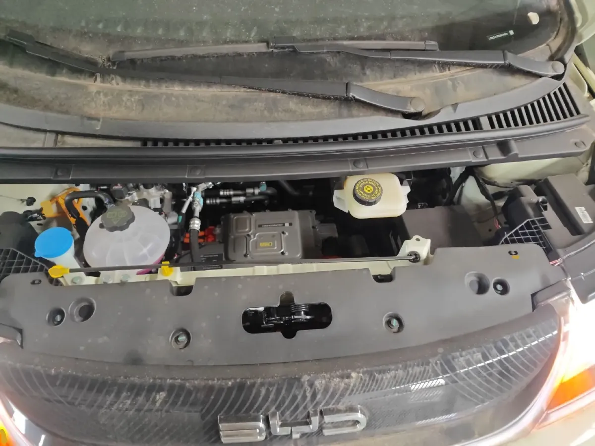 2025 BYD Dolphin BEV 44.928KWH,autocango,china used car exporter,china ev exporter,chinese used car exporter,chinese used ev exporter