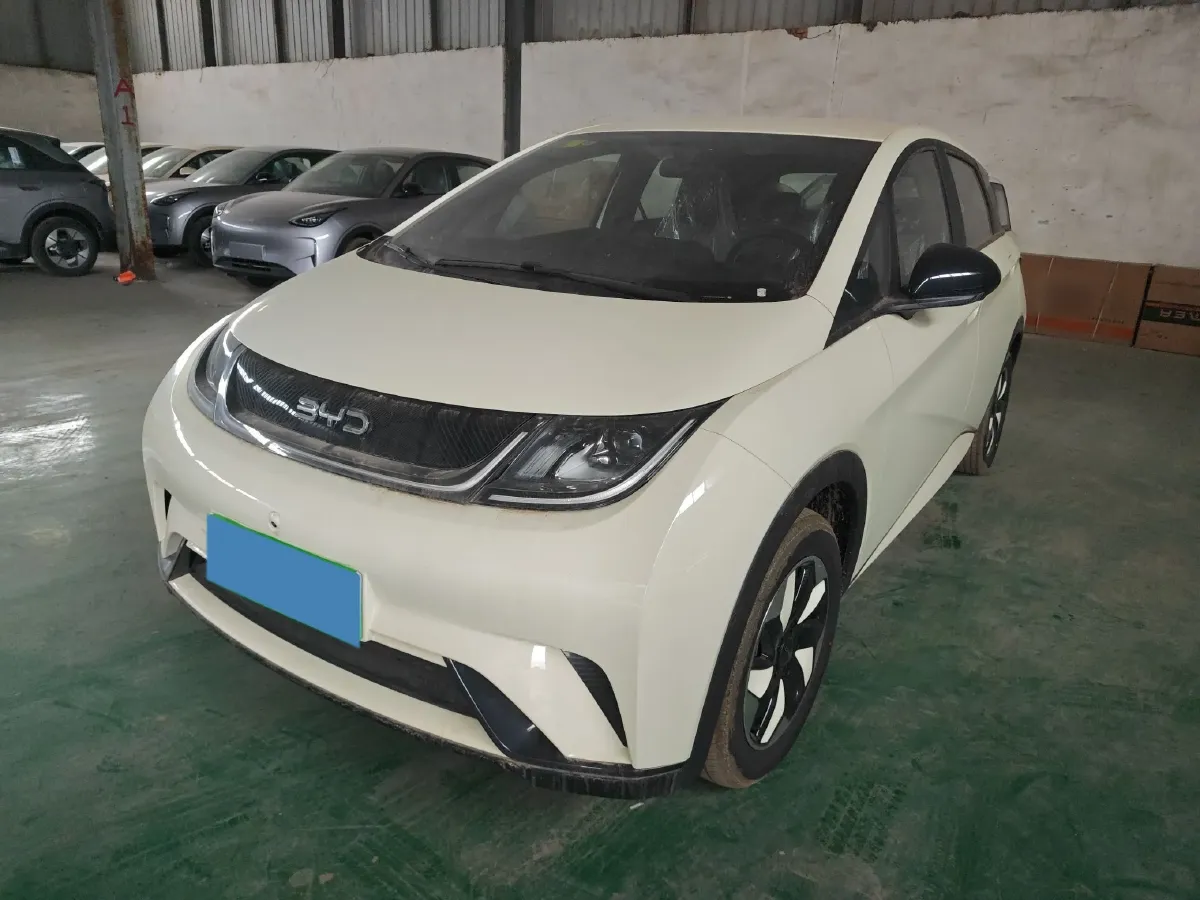 2025 BYD Dolphin BEV 44.928KWH,autocango,china used car exporter,china ev exporter,chinese used car exporter,chinese used ev exporter