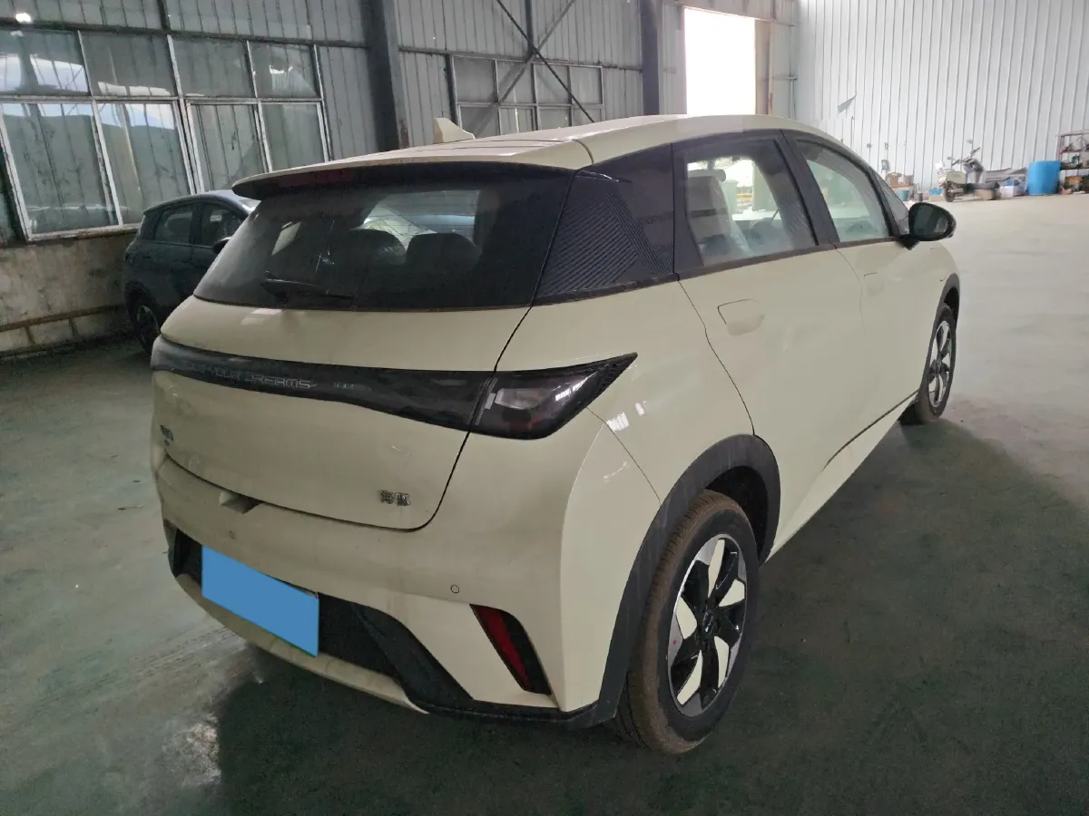 2025 BYD Dolphin BEV 44.928KWH,autocango,china used car exporter,china ev exporter,chinese used car exporter,chinese used ev exporter