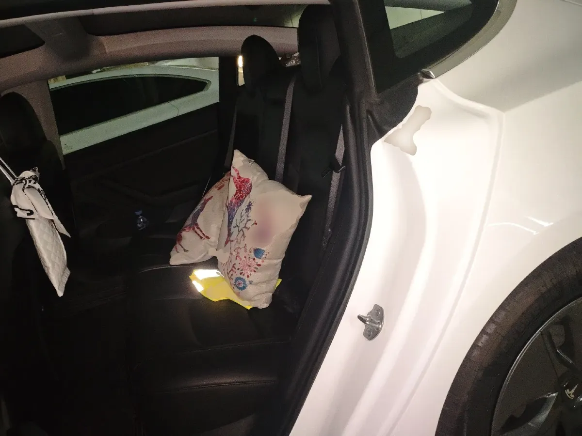 2020 Tesla Model 3 BEV 52KWH,autocango,china used car exporter,china ev exporter,chinese used car exporter,chinese used ev exporter