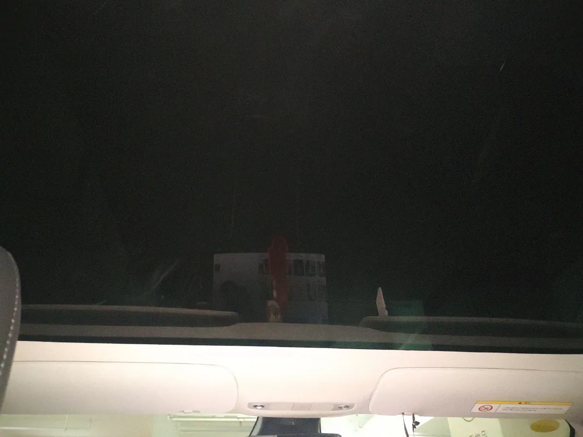 2020 Tesla Model 3 BEV 52KWH,autocango,china used car exporter,china ev exporter,chinese used car exporter,chinese used ev exporter