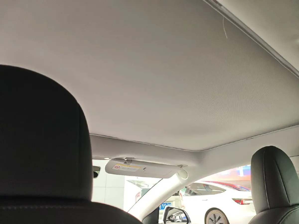 2020 Tesla Model 3 BEV 55KWH,autocango,china used car exporter,china ev exporter,chinese used car exporter,chinese used ev exporter