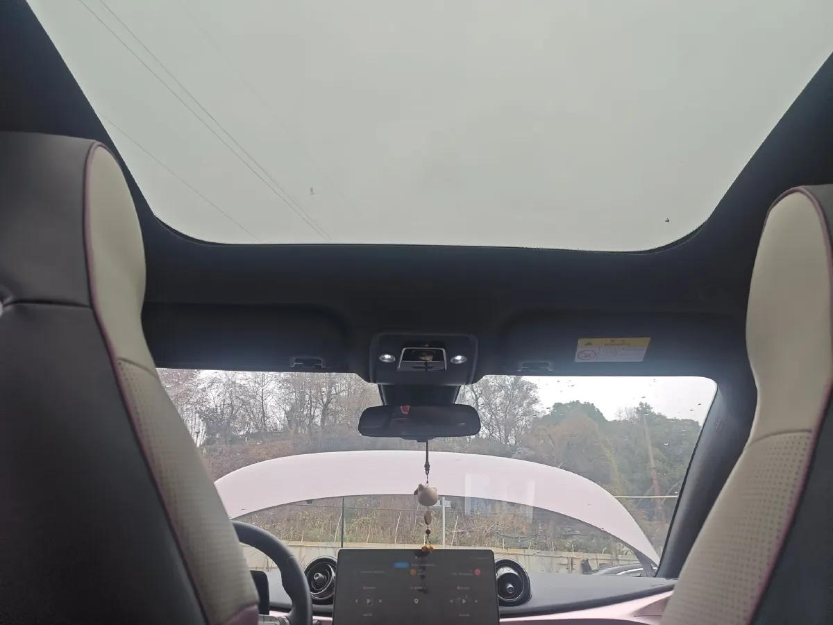 2023 BYD Dolphin BEV 44.928KWH,autocango,china used car exporter,china ev exporter,chinese used car exporter,chinese used ev exporter