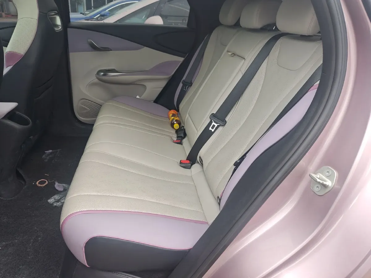 2023 BYD Dolphin BEV 44.928KWH,autocango,china used car exporter,china ev exporter,chinese used car exporter,chinese used ev exporter