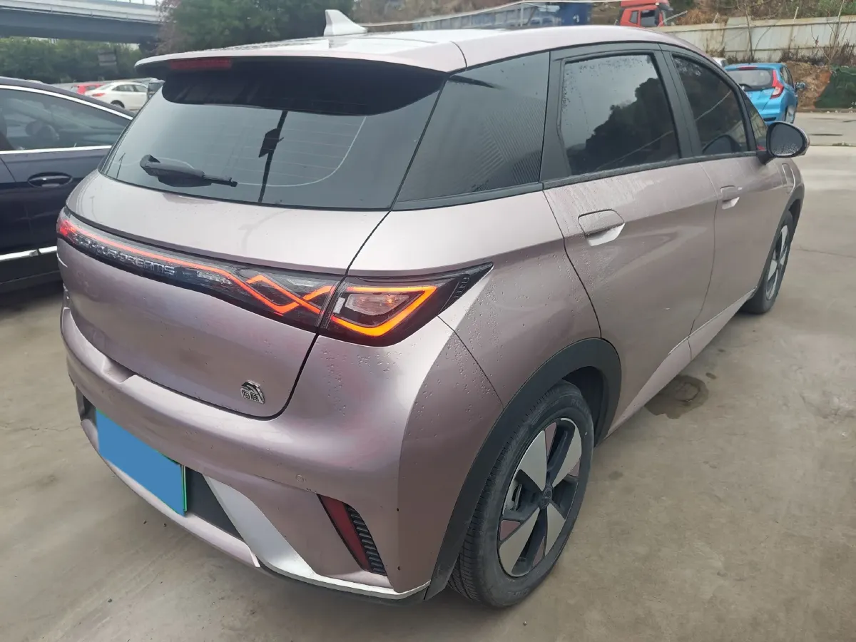 2023 BYD Dolphin BEV 44.928KWH,autocango,china used car exporter,china ev exporter,chinese used car exporter,chinese used ev exporter