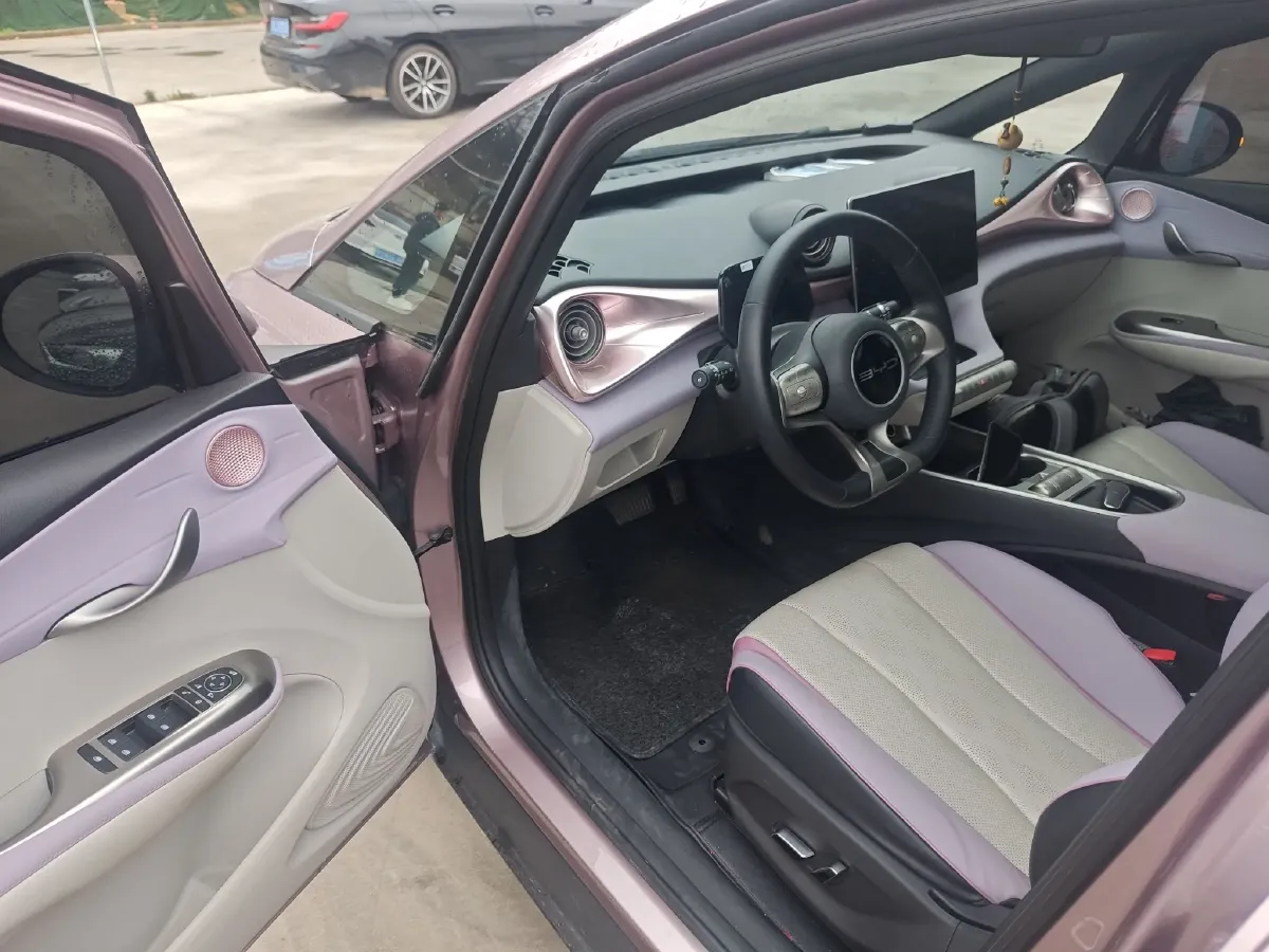 2023 BYD Dolphin BEV 44.928KWH,autocango,china used car exporter,china ev exporter,chinese used car exporter,chinese used ev exporter