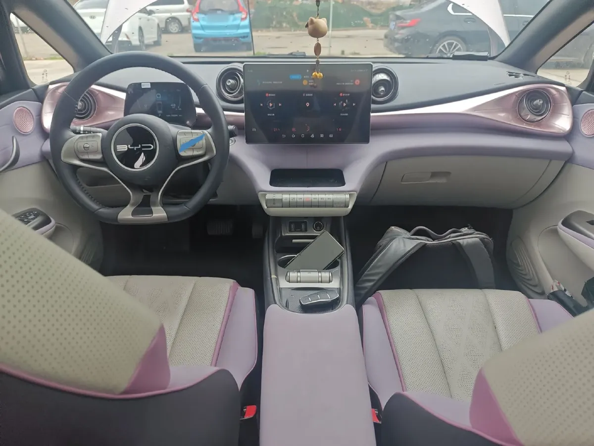 2023 BYD Dolphin BEV 44.928KWH,autocango,china used car exporter,china ev exporter,chinese used car exporter,chinese used ev exporter