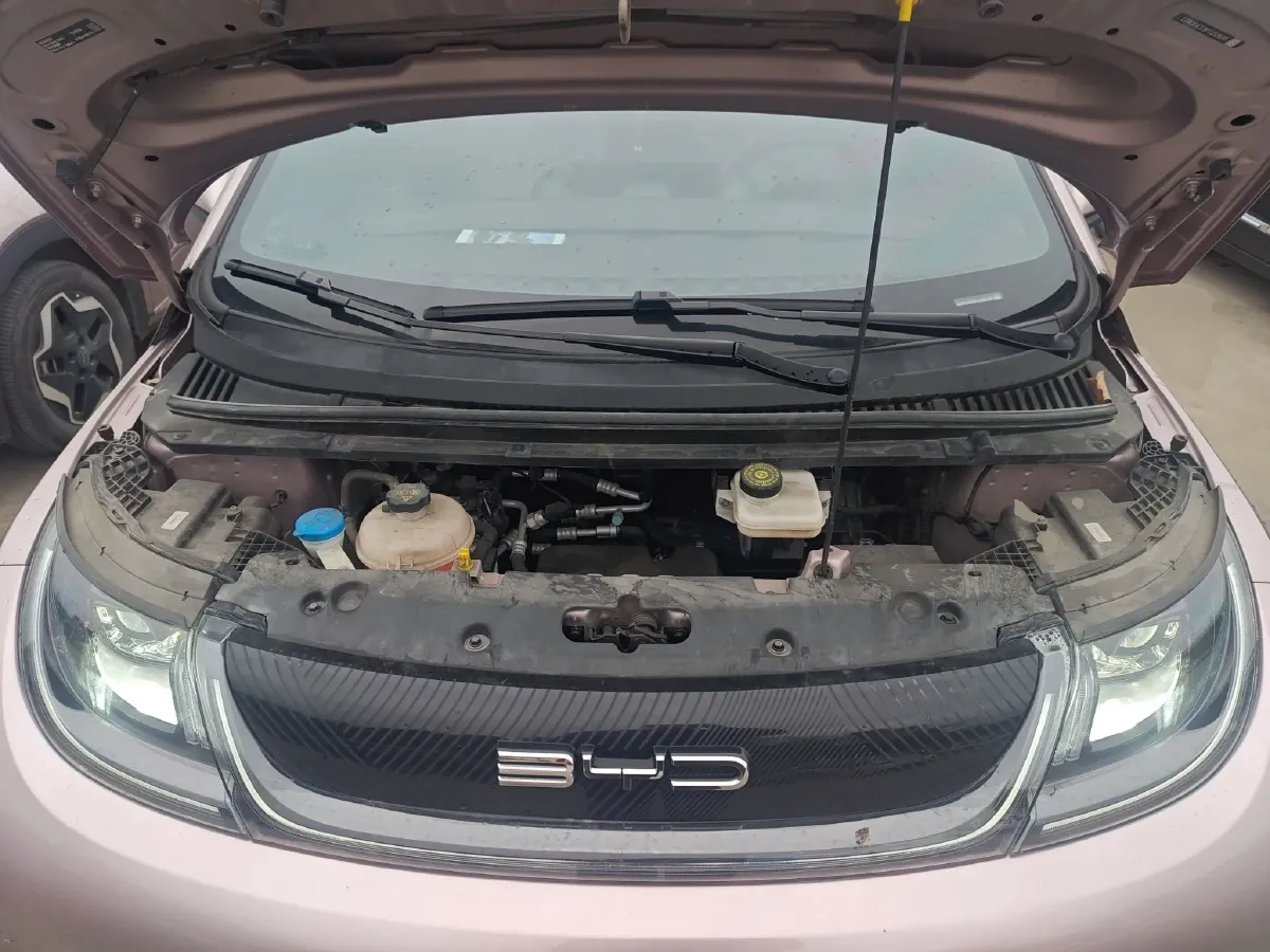 2023 BYD Dolphin BEV 44.928KWH,autocango,china used car exporter,china ev exporter,chinese used car exporter,chinese used ev exporter