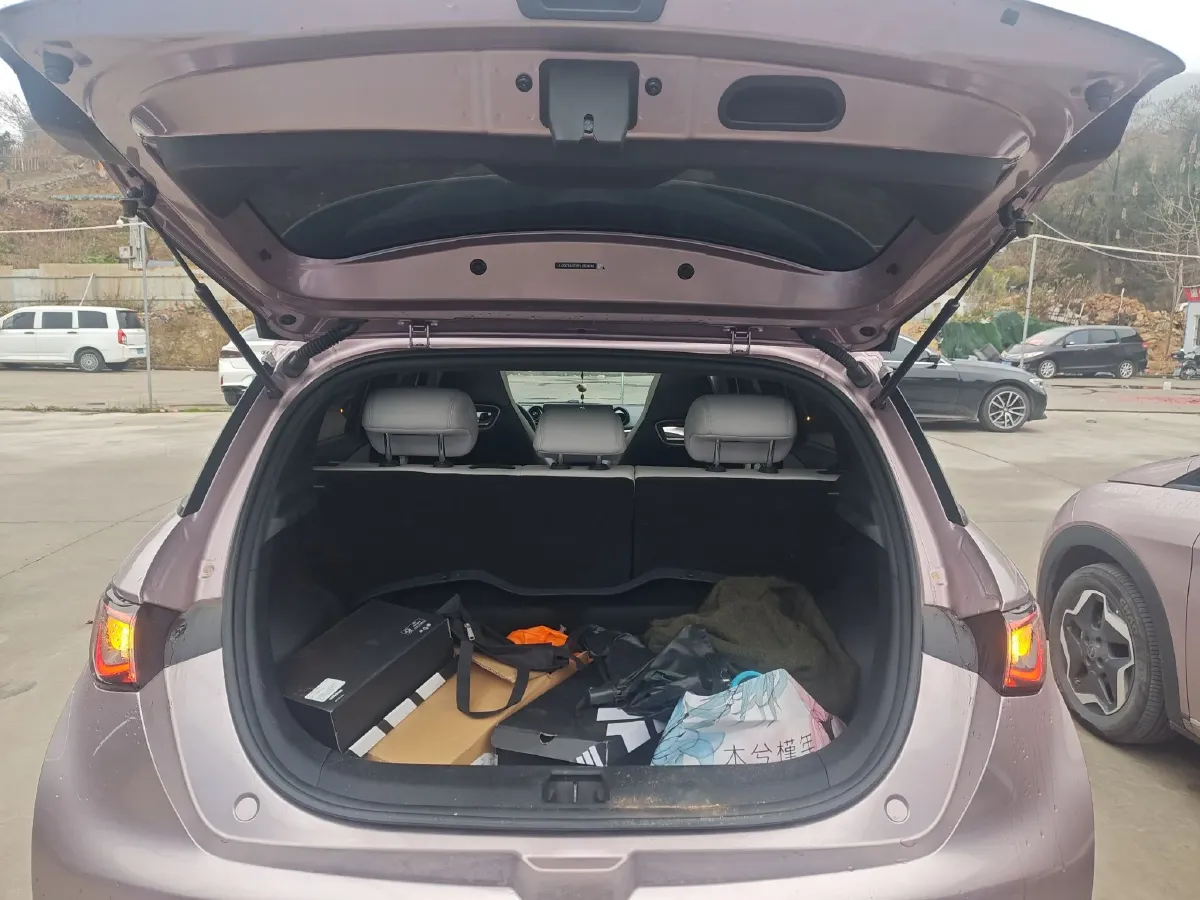 2023 BYD Dolphin BEV 44.928KWH,autocango,china used car exporter,china ev exporter,chinese used car exporter,chinese used ev exporter