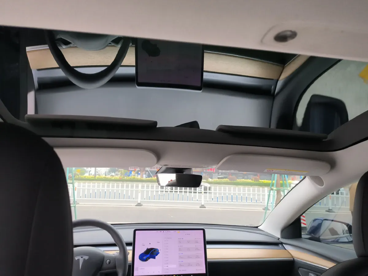 2021 Tesla Model 3 BEV 55KWH,autocango,china used car exporter,china ev exporter,chinese used car exporter,chinese used ev exporter