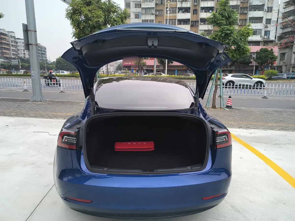 2021 Tesla Model 3 BEV 55KWH,autocango,china used car exporter,china ev exporter,chinese used car exporter,chinese used ev exporter