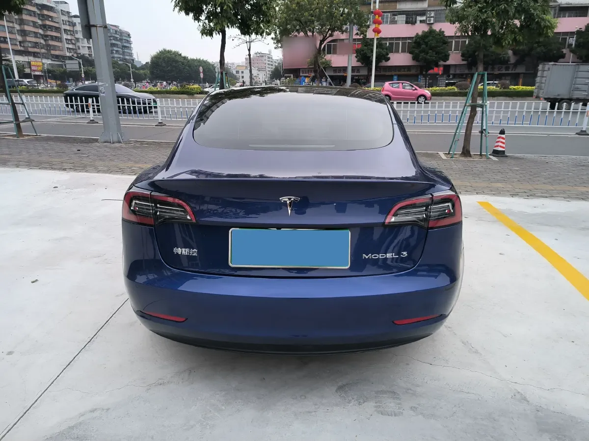 2021 Tesla Model 3 BEV 55KWH,autocango,china used car exporter,china ev exporter,chinese used car exporter,chinese used ev exporter
