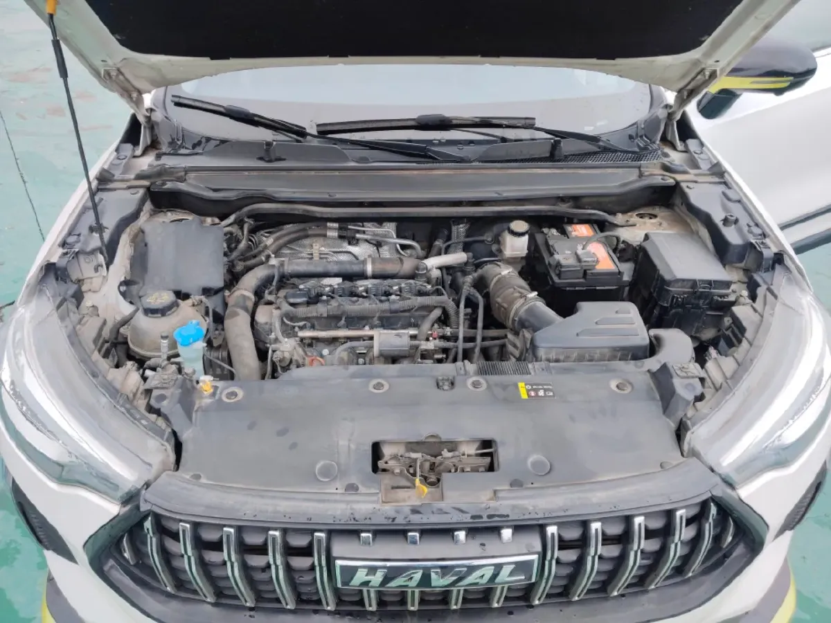 2022 Haval Rabbit 1.5T 150HP L4 7DCT,autocango,china used car exporter,china ev exporter,chinese used car exporter,chinese used ev exporter