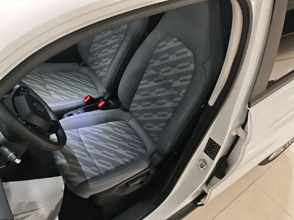 2024 Leapmotor T03 BEV 41.3KWH,autocango,china used car exporter,china ev exporter,chinese used car exporter,chinese used ev exporter