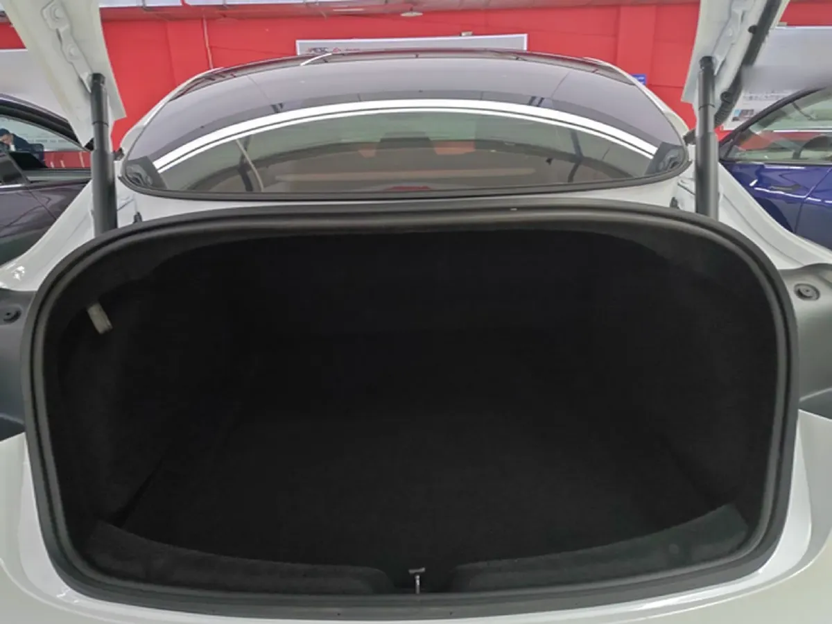 2025 Tesla Model 3 BEV,autocango,china used car exporter,china ev exporter,chinese used car exporter,chinese used ev exporter