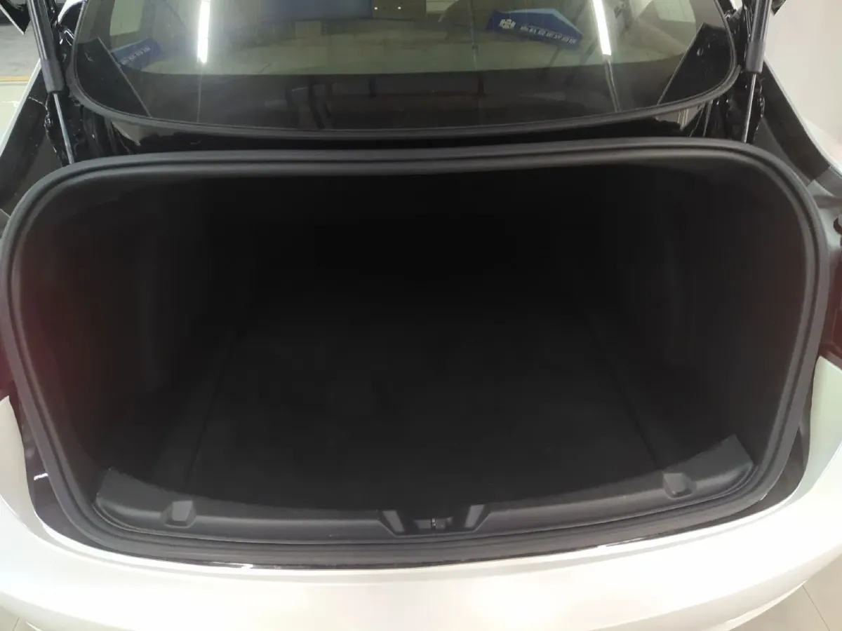 2020 Tesla Model 3 BEV 55KWH,autocango,china used car exporter,china ev exporter,chinese used car exporter,chinese used ev exporter