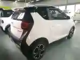 2021 Chery Little Ant BEV 30.6KWH