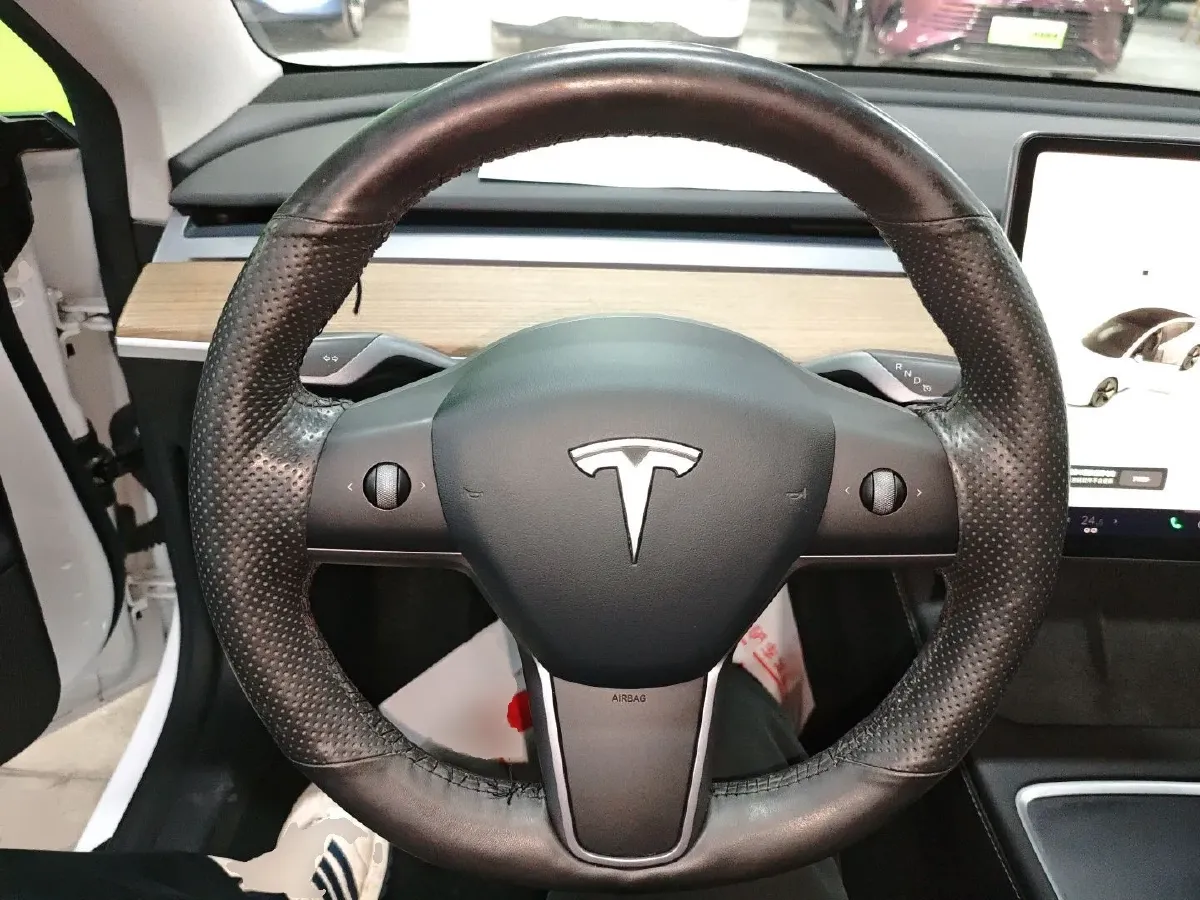 2021 Tesla Model 3 BEV 55KWH,autocango,china used car exporter,china ev exporter,chinese used car exporter,chinese used ev exporter