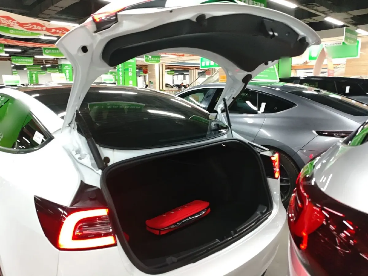 2021 Tesla Model 3 BEV 55KWH,autocango,china used car exporter,china ev exporter,chinese used car exporter,chinese used ev exporter