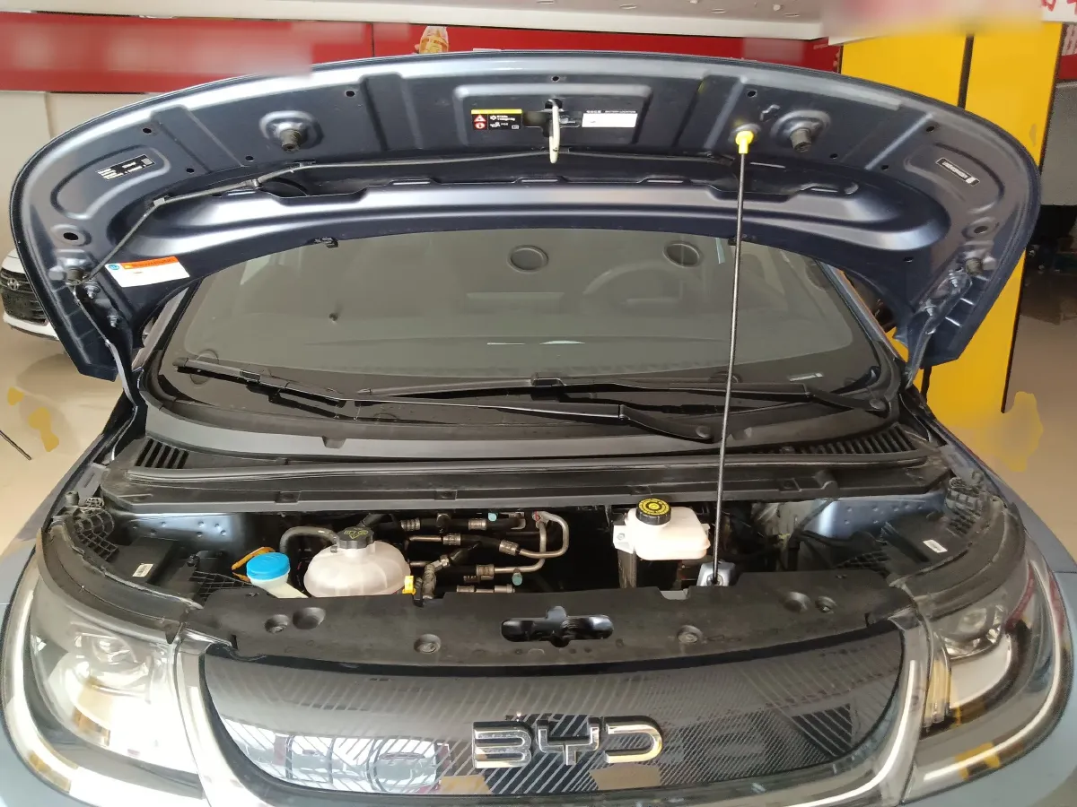 2025 BYD Dolphin BEV 44.928KWH,autocango,china used car exporter,china ev exporter,chinese used car exporter,chinese used ev exporter