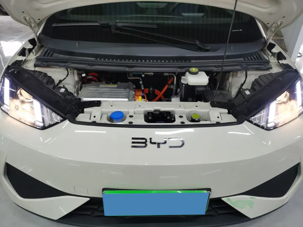 2025 BYD Seagull BEV 30.08KWH,autocango,china used car exporter,china ev exporter,chinese used car exporter,chinese used ev exporter