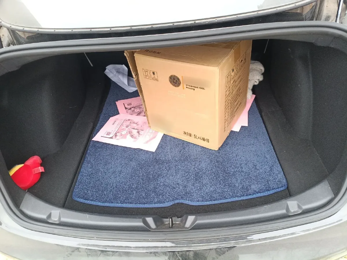 2021 Tesla Model 3 BEV 76.8KWH,autocango,china used car exporter,china ev exporter,chinese used car exporter,chinese used ev exporter