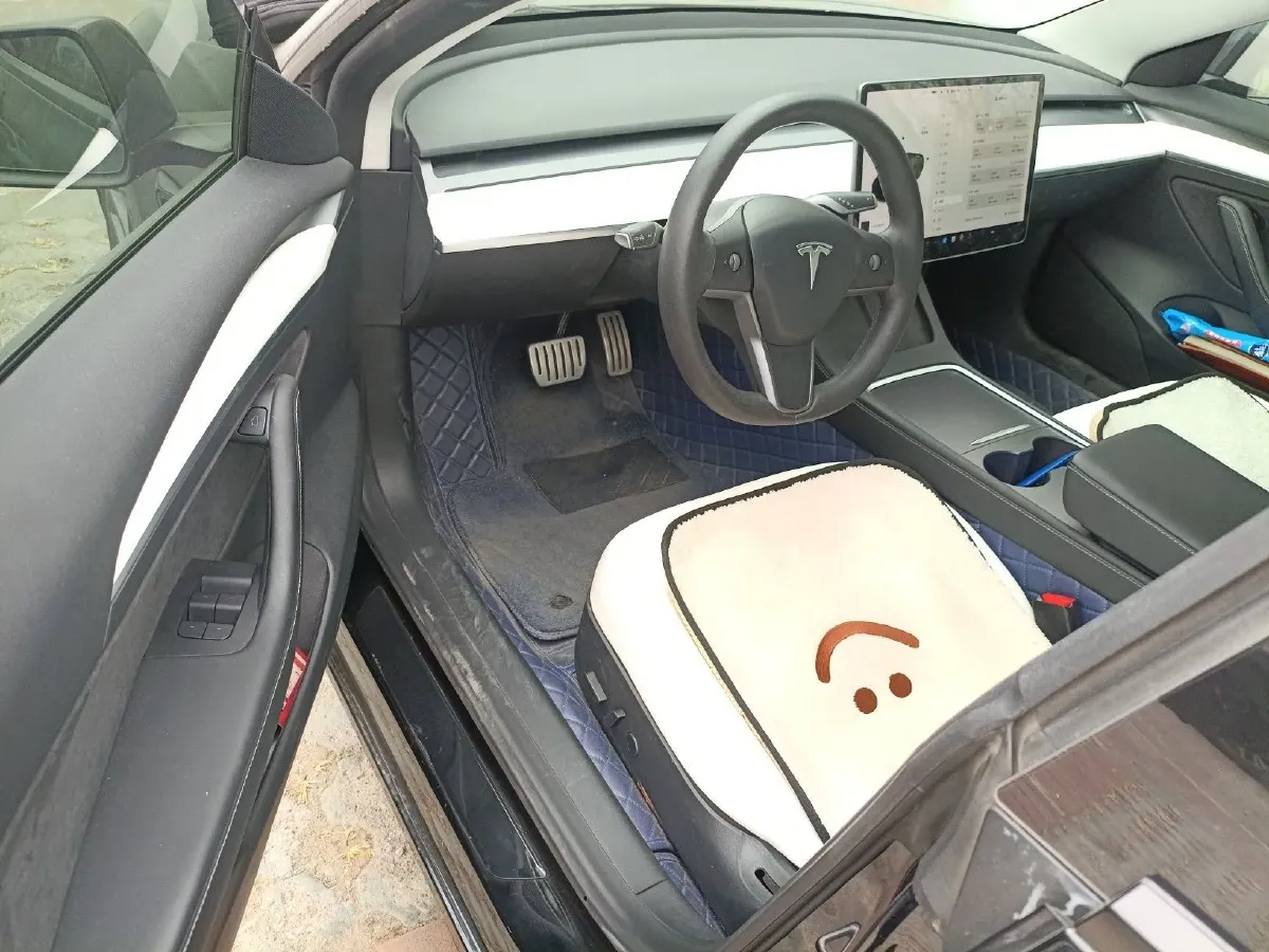 2021 Tesla Model 3 BEV 76.8KWH,autocango,china used car exporter,china ev exporter,chinese used car exporter,chinese used ev exporter