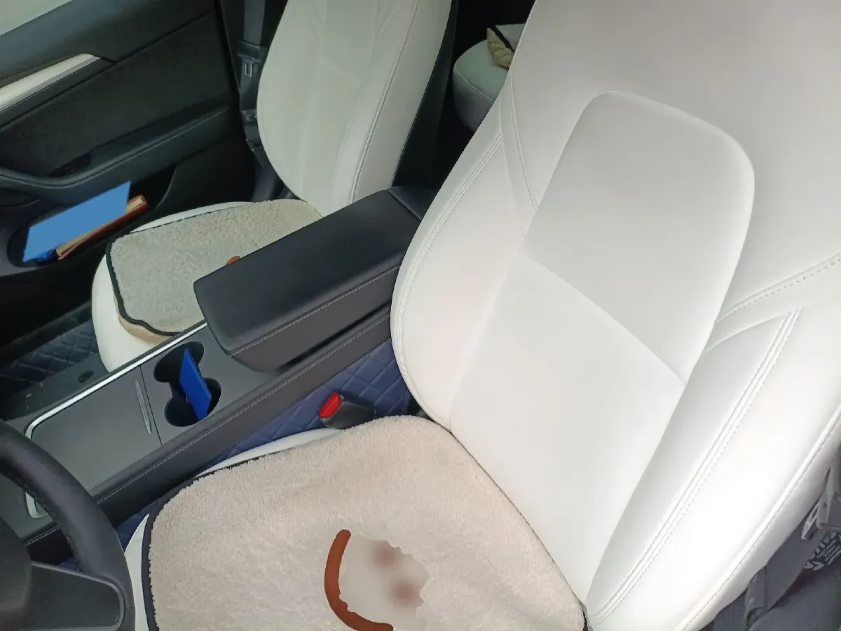 2021 Tesla Model 3 BEV 76.8KWH,autocango,china used car exporter,china ev exporter,chinese used car exporter,chinese used ev exporter