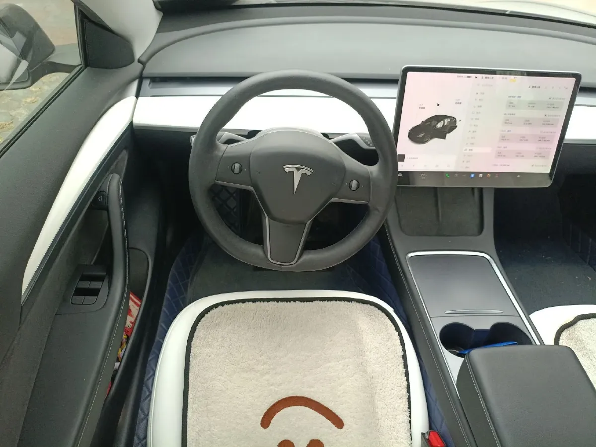 2021 Tesla Model 3 BEV 76.8KWH,autocango,china used car exporter,china ev exporter,chinese used car exporter,chinese used ev exporter